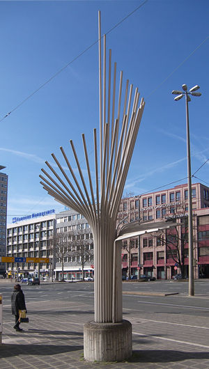 So sieht in Nürnberg der Baum des Jahres aus. Andreas Alfaro hat ihn nach Nürnberg Gostenhof verpflanzt.