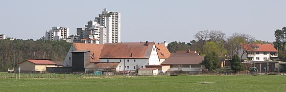 hinter der Rednitzaue türmt sich Reichels"dorf" auf der anderen westlichen Uferseite der Lohhof mit der Gerasmühle