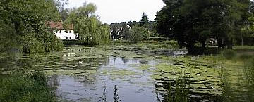 auch in Boxdorf - im Norden von Nürnberg - ist ein kleiner Dorfweiher beruhigedes Zentrum