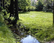 Nürnbergs Goldbach - wieder ganz Natur